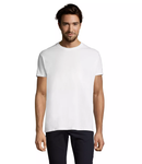 Tee shirts 21
