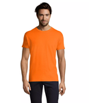 Tee shirts 42