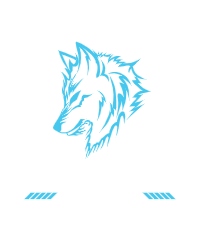 Patch design1 2026