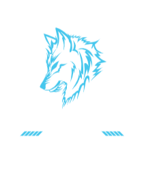 Patch design1 2026