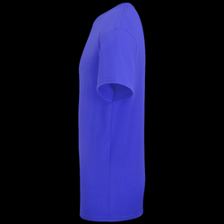 Ansbach Cougars design1