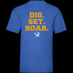 Ansbach Volleyball Roar