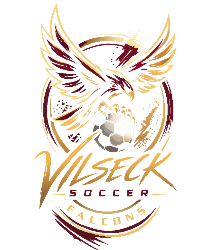 Soccer VHS