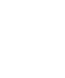 Vilseck High Falcons-White text