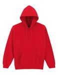 Wrestling Euros Adult Hoodie Design 1 5