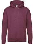 Adult Hoodie-Fruit of the Loom Premium 3