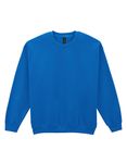 Adult Sweatshirt-Gildan Heavy Blend 1