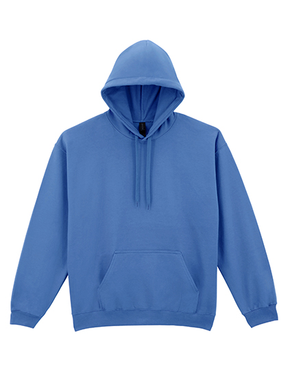 Adult Hoodie-Gildan Soft style 1
