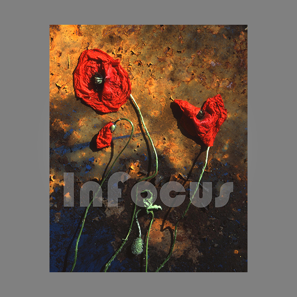 Jigsaw Puzzle Portrait A4