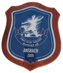 Wooden Plaque Award with Glass Front 2