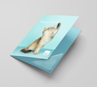 Kitten