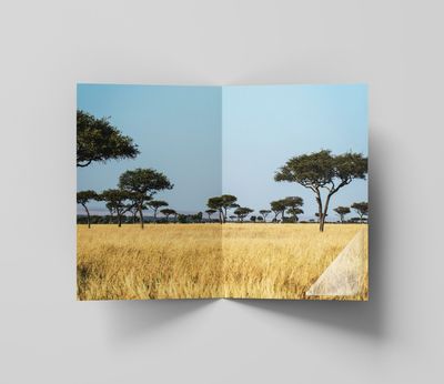Safari