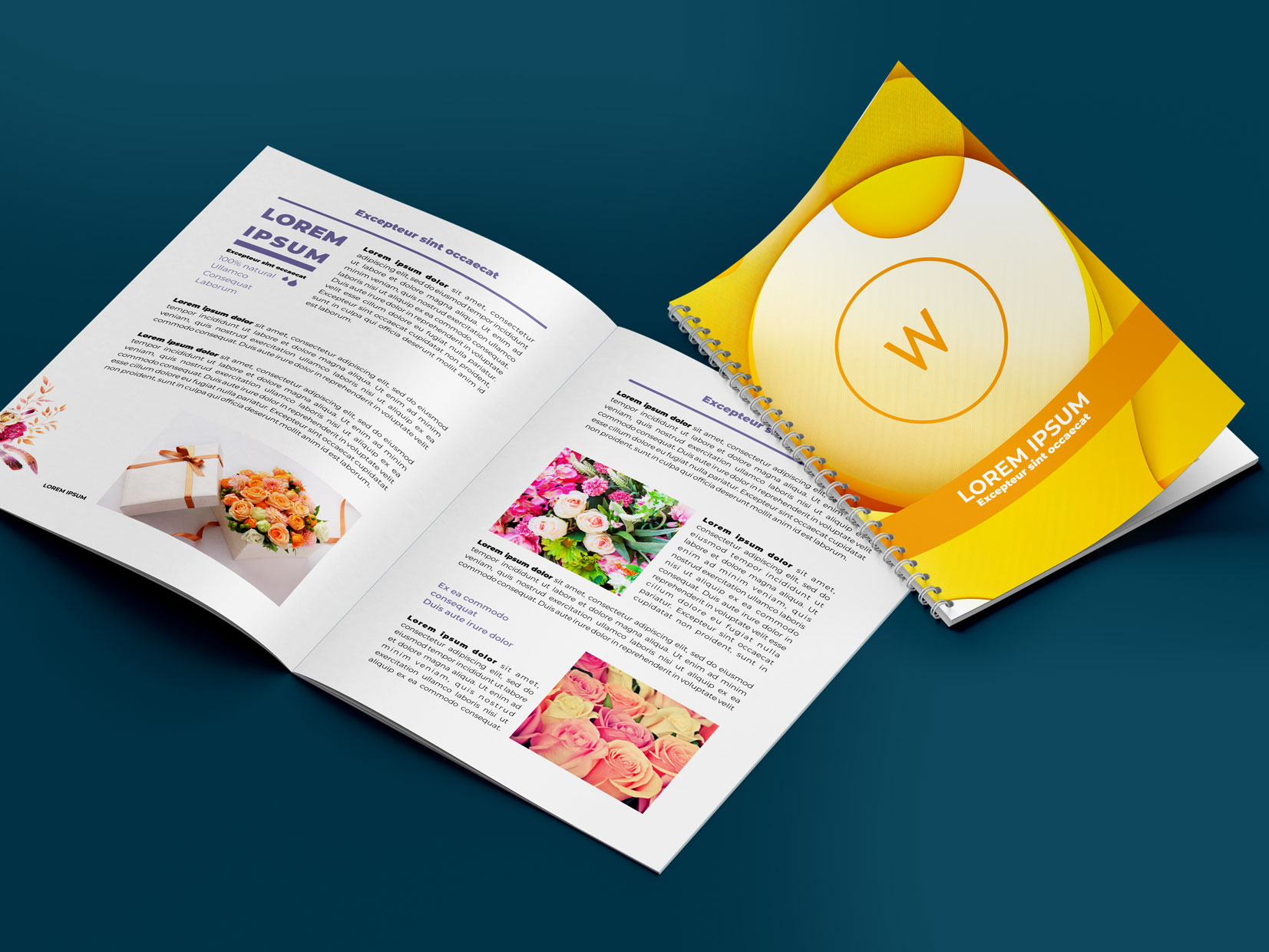 Broschüren und Notizbücher