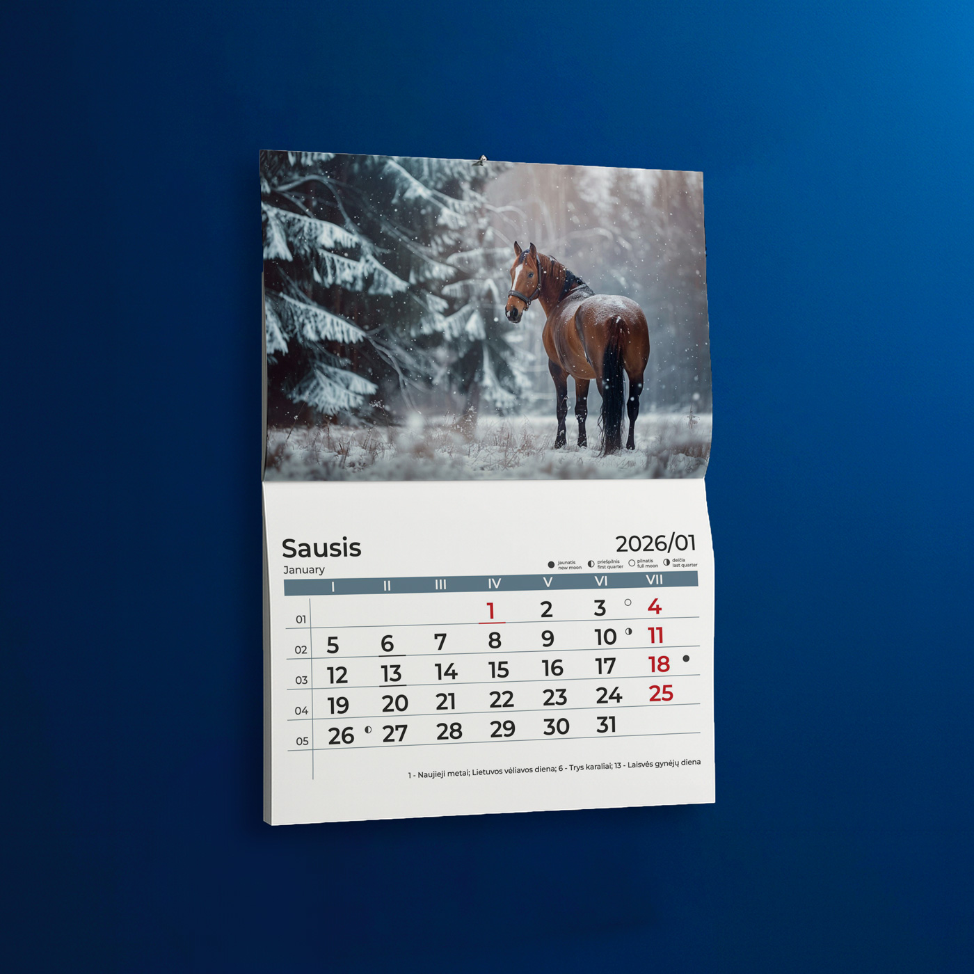 Broschüre mit Klammerheftung