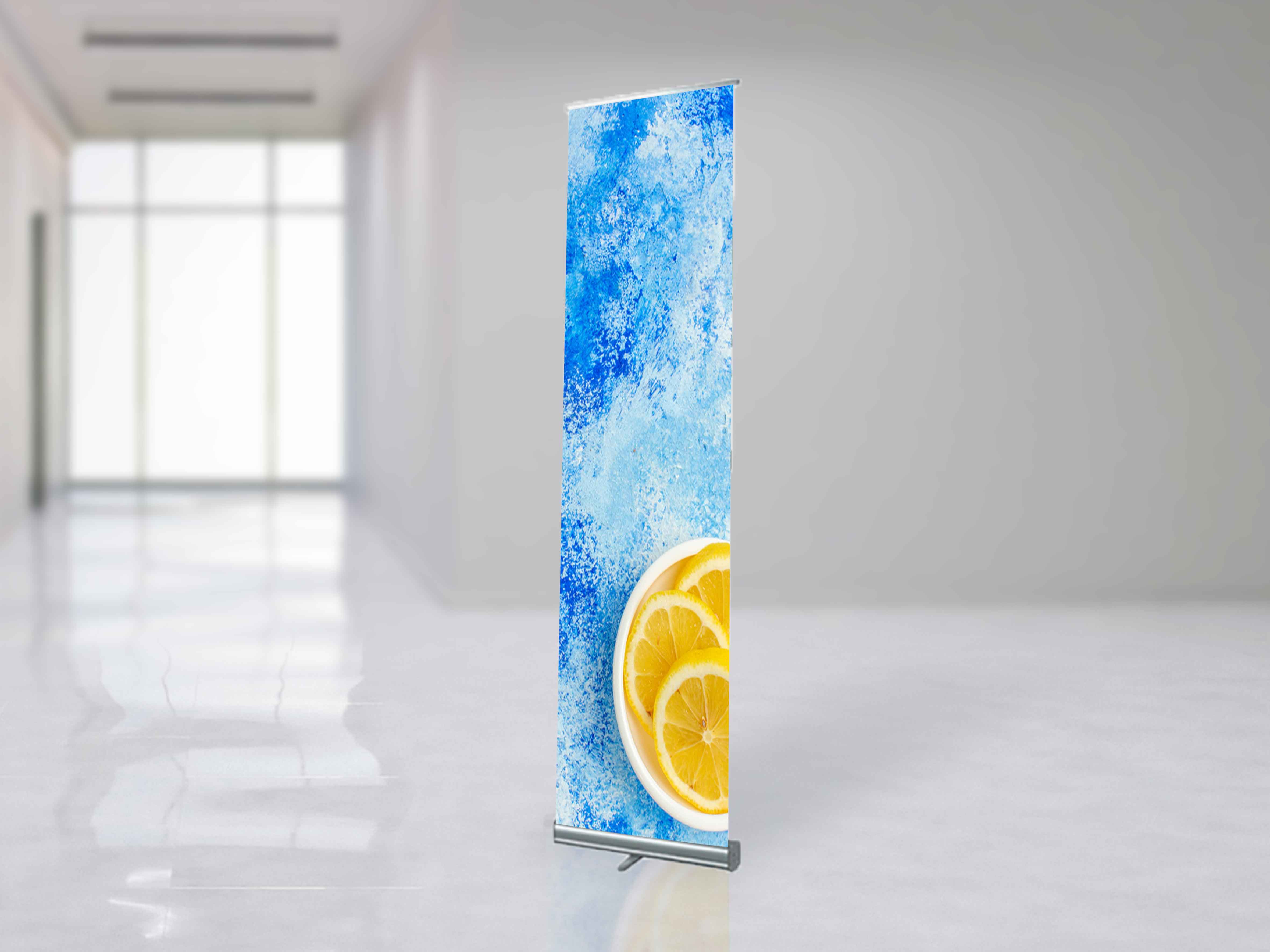 Roll up banner Mosquito