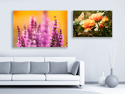 Canvas for interiors