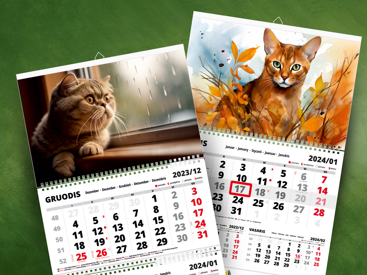 2025 wall calendar "Cats
