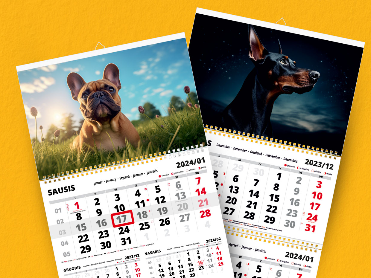 2025 wall calendar "Dogs