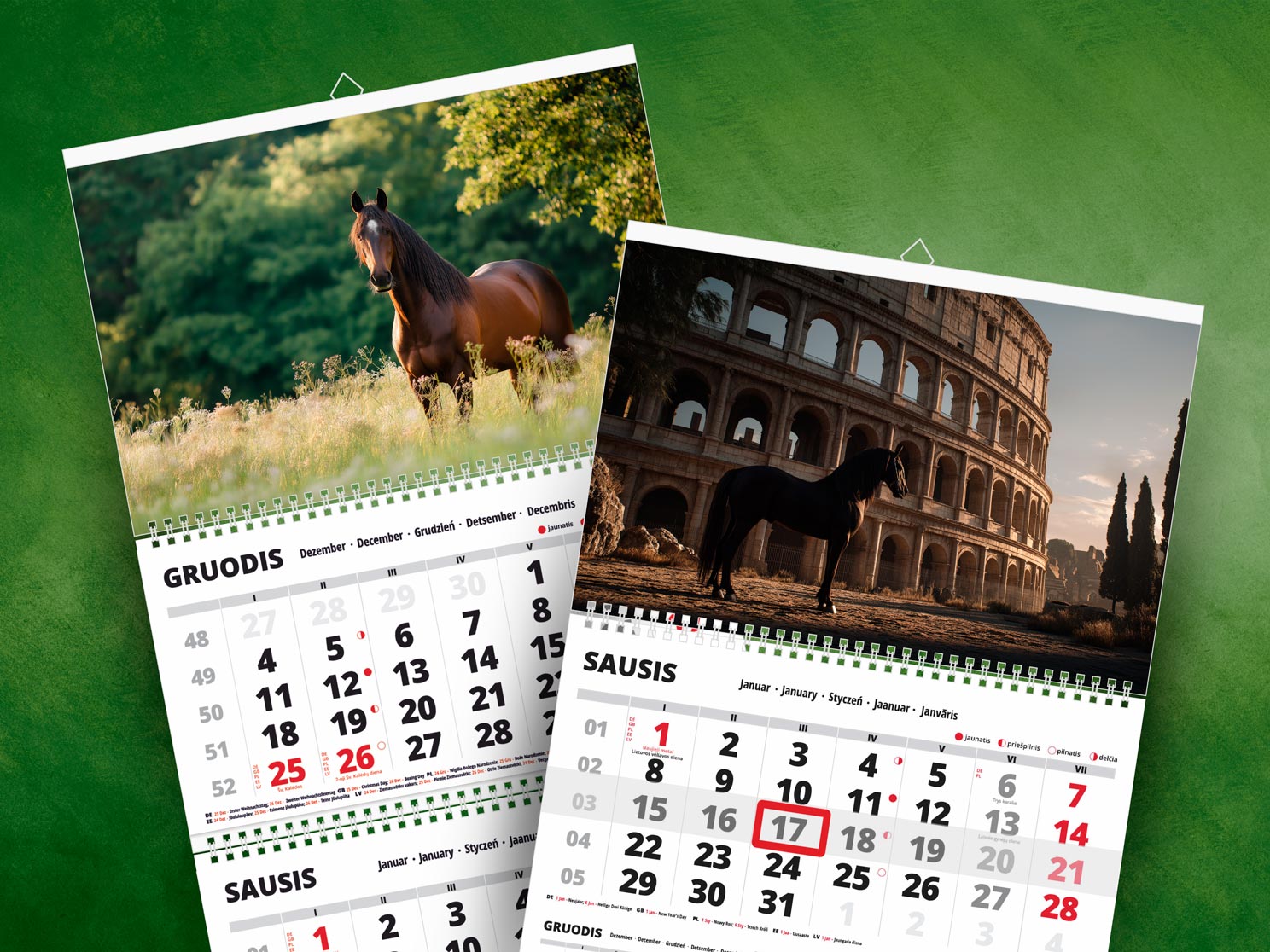 2026 m. sieninis kalendorius "Arkliai" 1