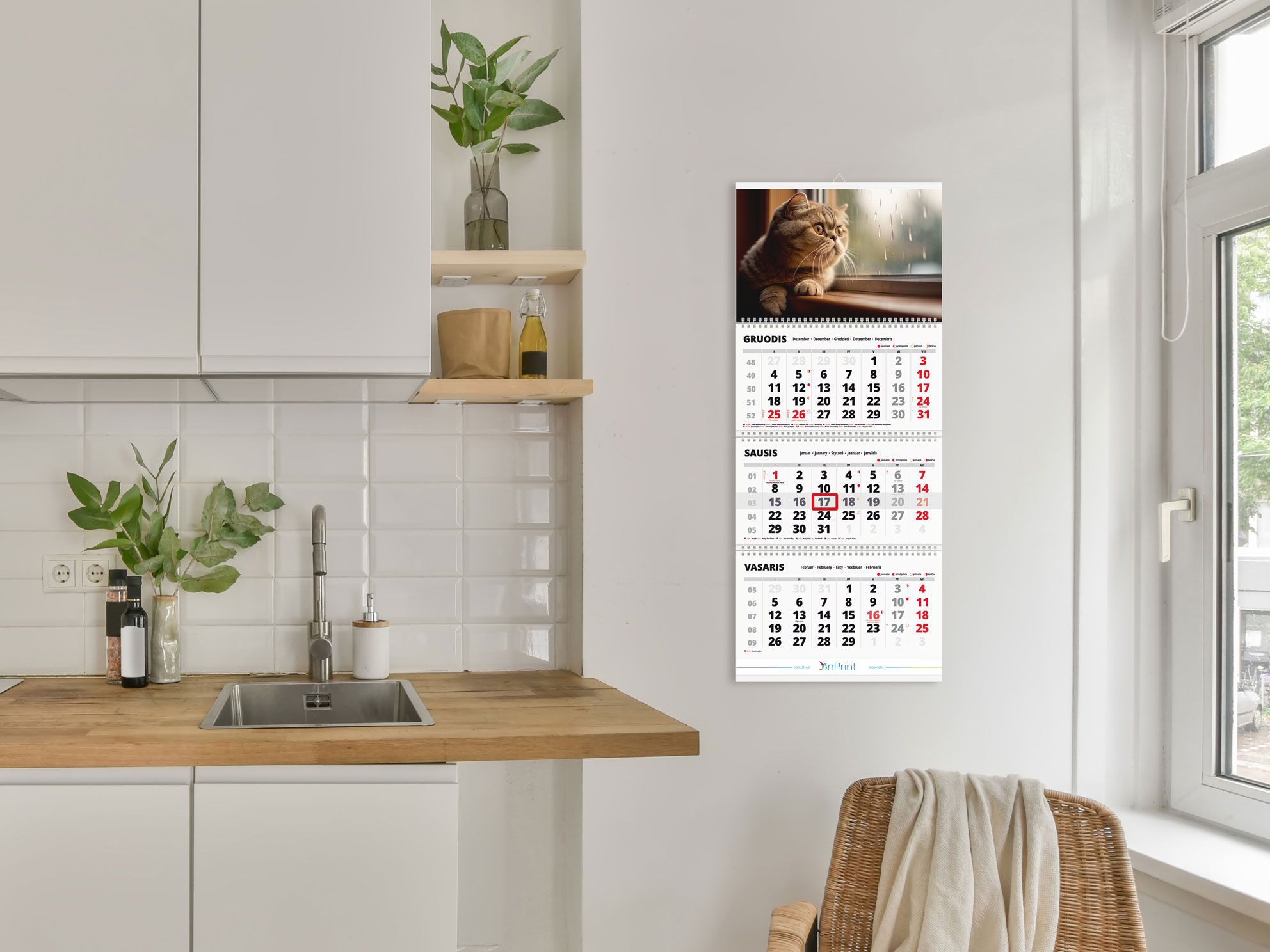 2025 wall calendar "Cats 4