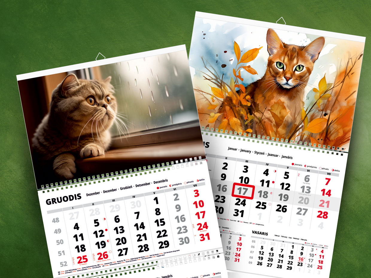 2025 wall calendar "Cats 3