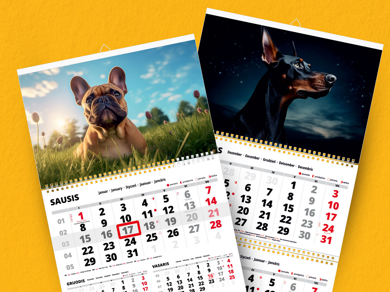 2025 wall calendar "Dogs 1