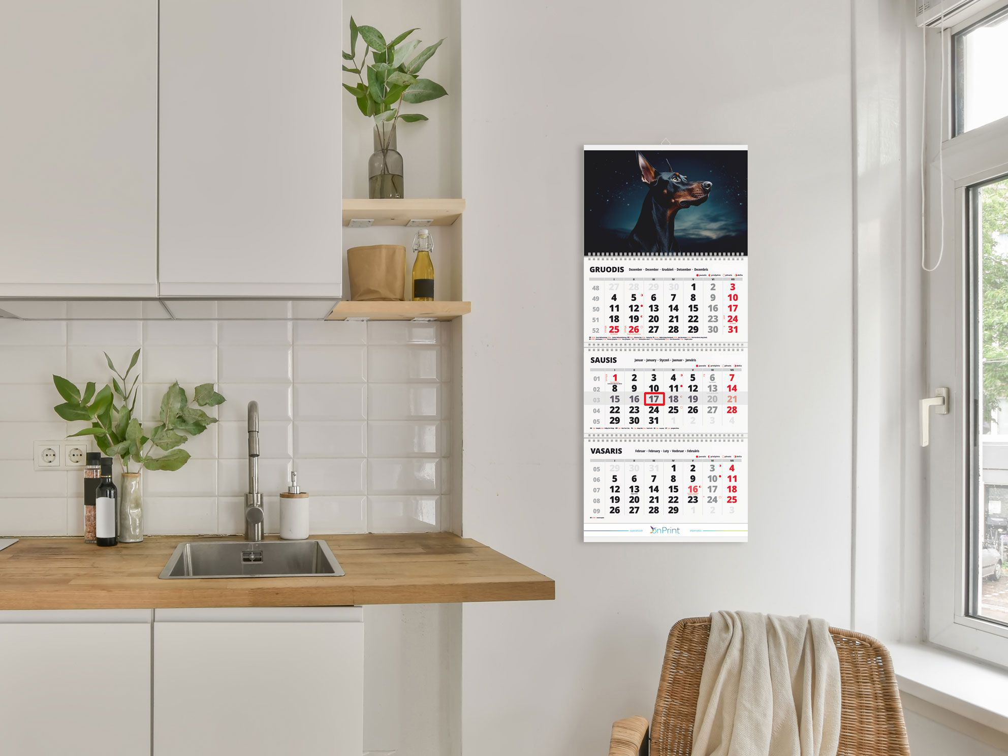 2025 wall calendar "Dogs 3