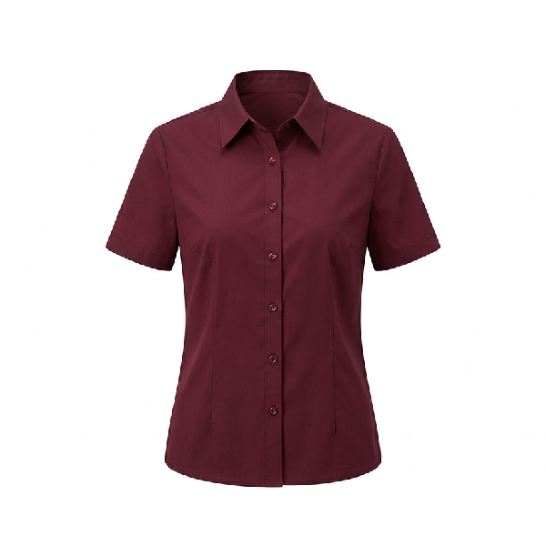 Chemises femme stretch manches courtes 4