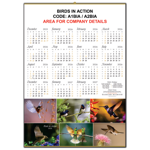 Birds in Action (A1BIA)