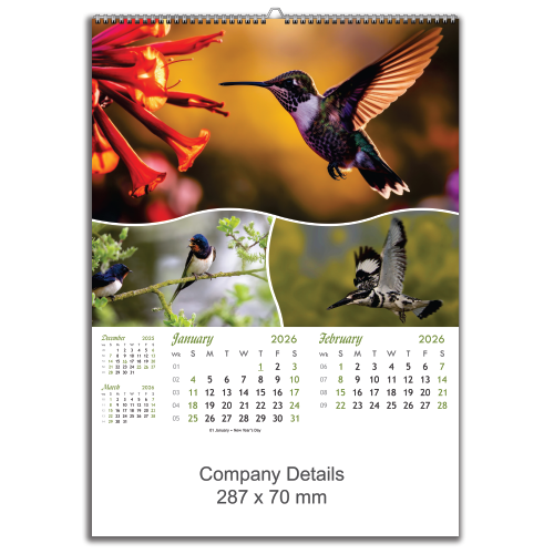 Birds in Action (EXBIA)