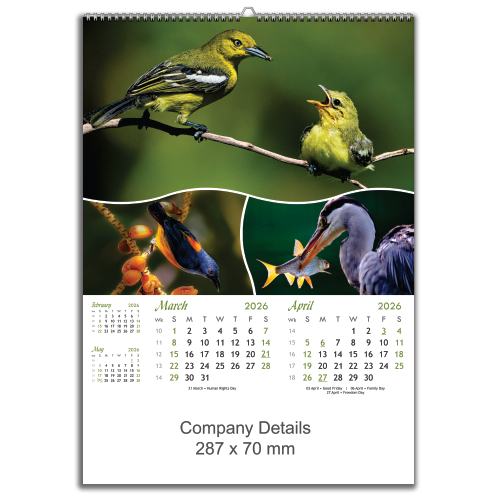 Birds in Action (EXBIA)