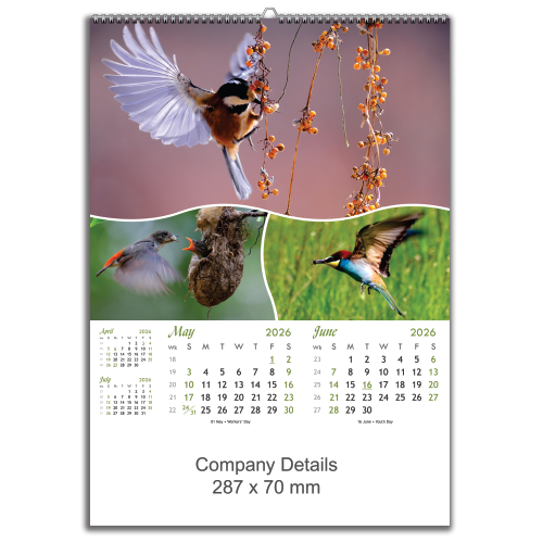 Birds in Action (EXBIA)