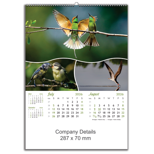 Birds in Action (EXBIA)