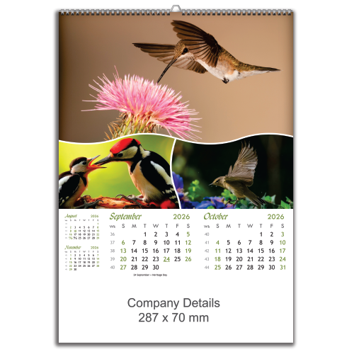 Birds in Action (EXBIA)
