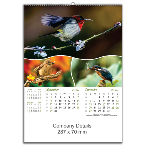 Birds in Action (EXBIA)