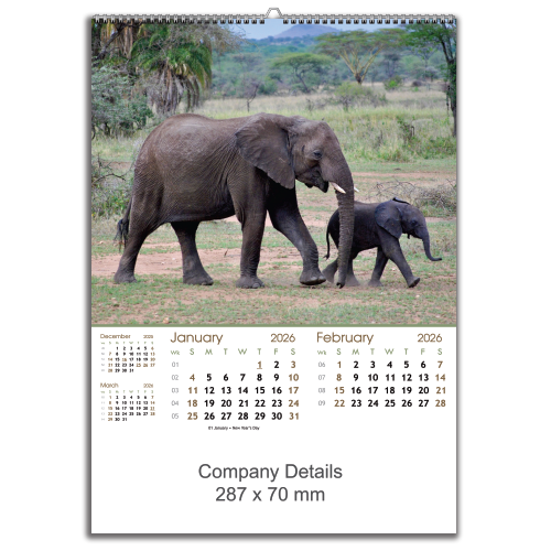 Wildlife Big & Small (EXWLBS)