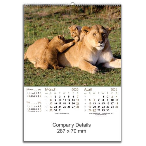 Wildlife Big & Small (EXWLBS)
