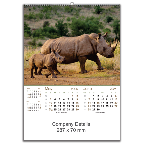 Wildlife Big & Small (EXWLBS)