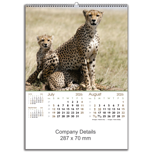 Wildlife Big & Small (EXWLBS)