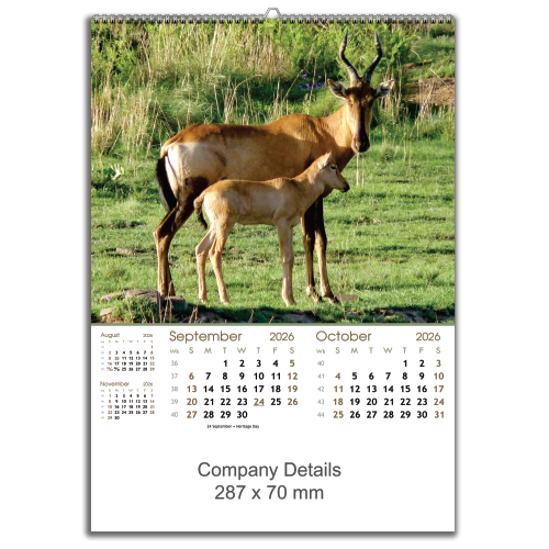 Wildlife Big & Small (EXWLBS)