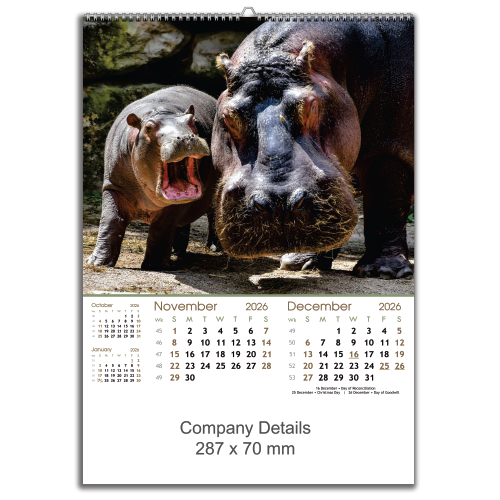 Wildlife Big & Small (EXWLBS)