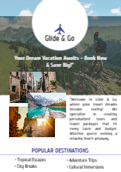 Travel the World Flyer