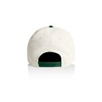Frame Two-Tone Cap 1165