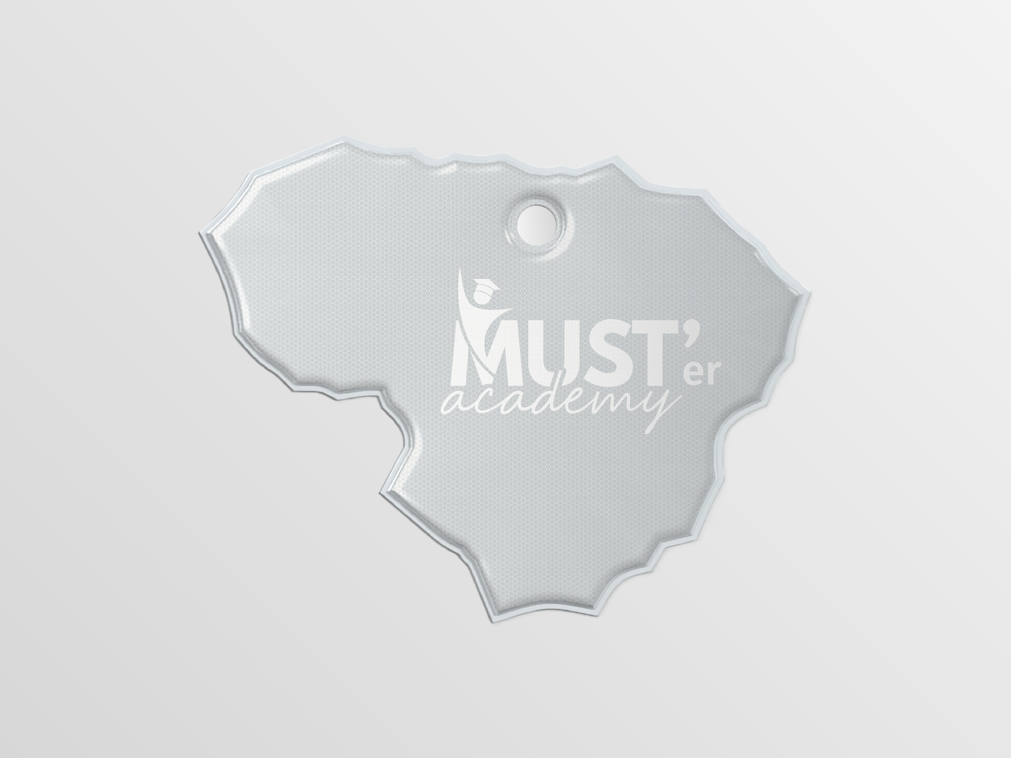 Lithuanian map reflectors 3