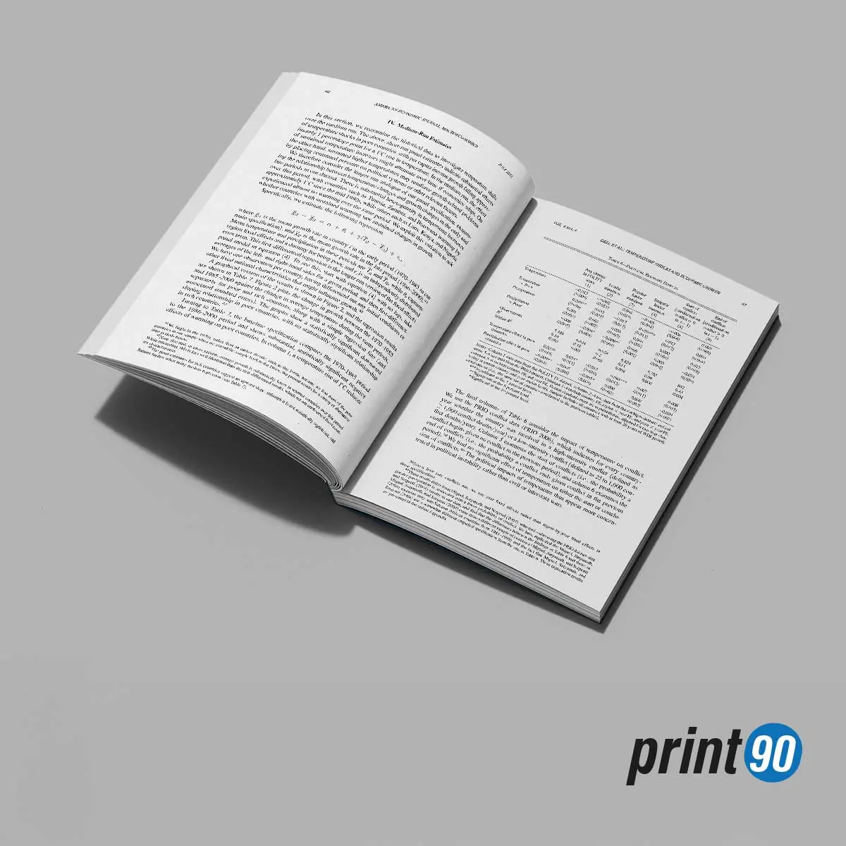 Akademik Kitap ve Tez Baskısı