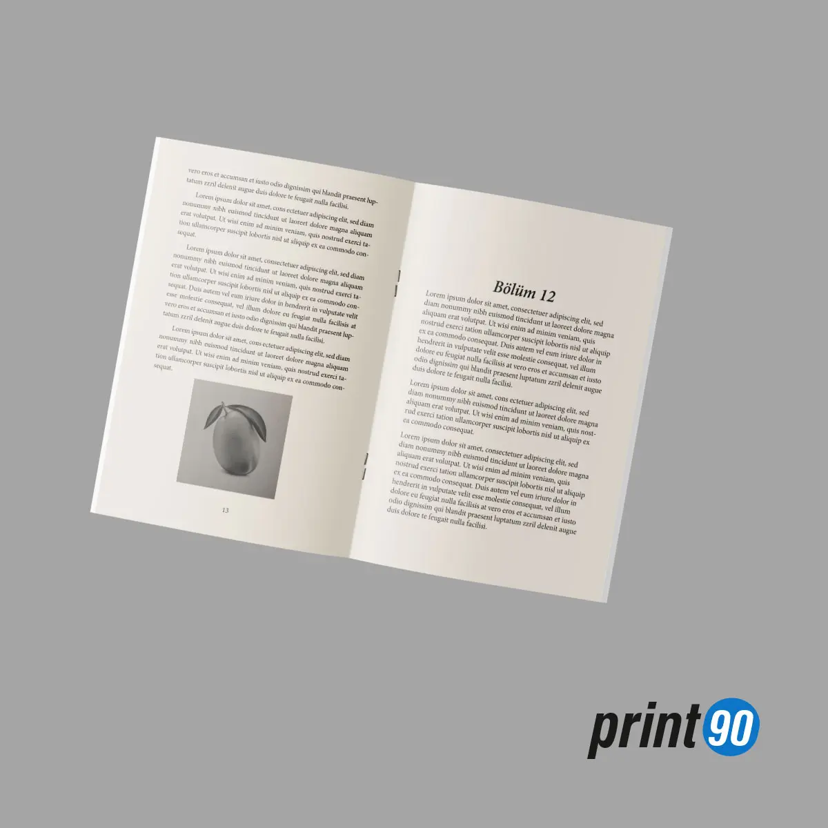 Profesyonel Kitap İçi Sayfa Düzeni (Mizanpaj)