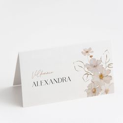 ALEXANDRA