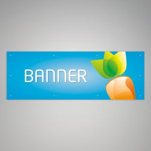 Banner Banner