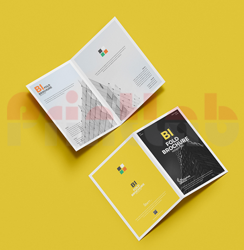 long brochure printing