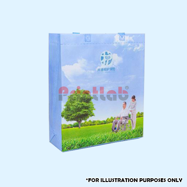 Non Woven Beg Full Color Offset